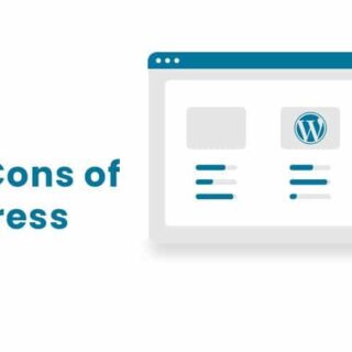 Pros and Cons of Premium WordPress Themes