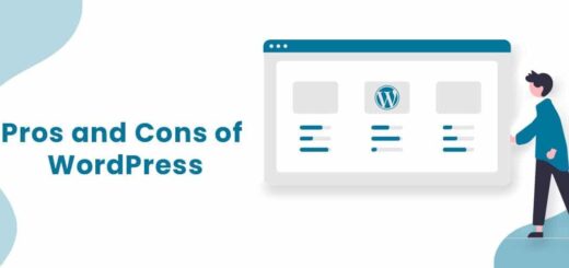 Pros and Cons of Premium WordPress Themes