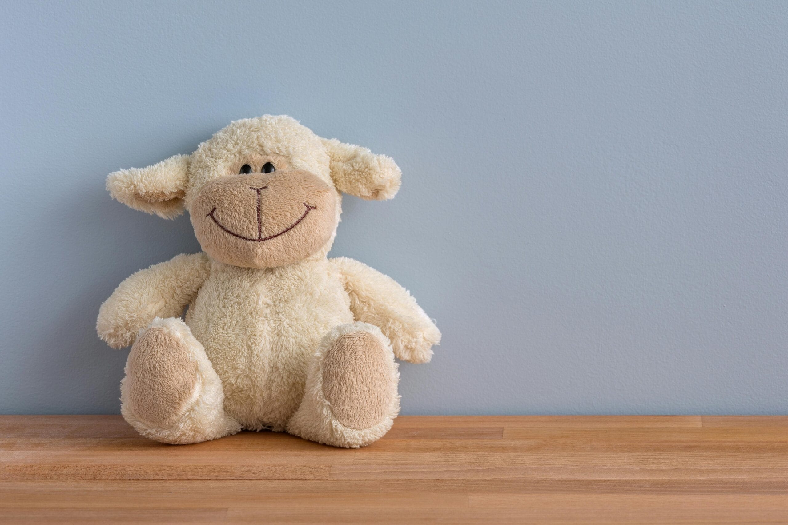 Online Toy Store